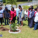 Nahge O'Brien Memorial Tree Planting, CedarBridge Bermuda May 3 2013-24