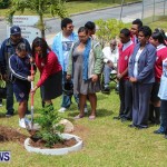 Nahge O'Brien Memorial Tree Planting, CedarBridge Bermuda May 3 2013-25