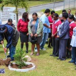 Nahge O'Brien Memorial Tree Planting, CedarBridge Bermuda May 3 2013-26