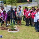 Nahge O'Brien Memorial Tree Planting, CedarBridge Bermuda May 3 2013-27