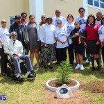 Nahge O'Brien Memorial Tree Planting, CedarBridge Bermuda May 3 2013-28