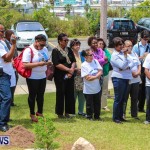 Nahge O'Brien Memorial Tree Planting, CedarBridge Bermuda May 3 2013-7