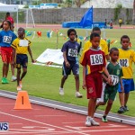 Pacers Track Club School Relay Classic, Bermuda April 29 2013-20