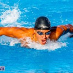 National Swimming Championships Bermuda, June 9 2013-18