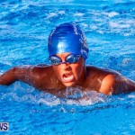 National Swimming Championships Bermuda, June 9 2013-24