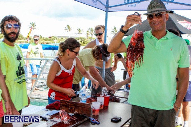 Groundswell Lionfish Tournament Bermuda, July 20 2013-20