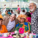 Premier's Seniors Tea Bermuda, July 7 2013-10