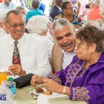 Premier's Seniors Tea Bermuda, July 7 2013-13