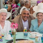 Premier's Seniors Tea Bermuda, July 7 2013-16