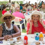 Premier's Seniors Tea Bermuda, July 7 2013-19
