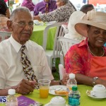 Premier's Seniors Tea Bermuda, July 7 2013-22