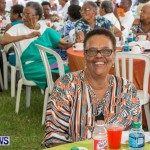 Premier's Seniors Tea Bermuda, July 7 2013-23