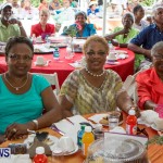Premier's Seniors Tea Bermuda, July 7 2013-33