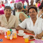 Premier's Seniors Tea Bermuda, July 7 2013-36