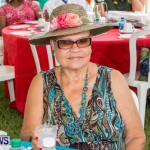 Premier's Seniors Tea Bermuda, July 7 2013-40