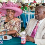 Premier's Seniors Tea Bermuda, July 7 2013-47
