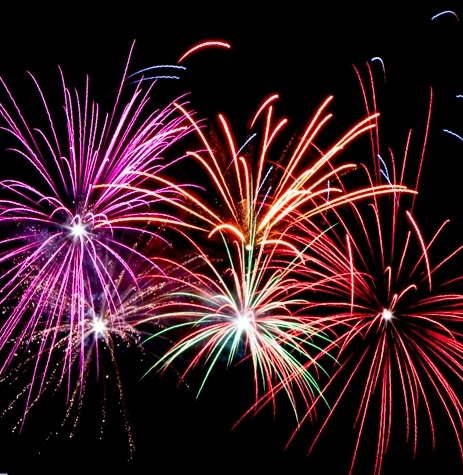 SPCA Launching Fireworks Notification Emails - Bernews