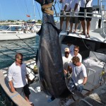 overproof marlin bermuda 2013 (7)