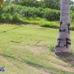 Spray Paint On Trees Cup Match Bermuda, Jul 31 2013 (7)