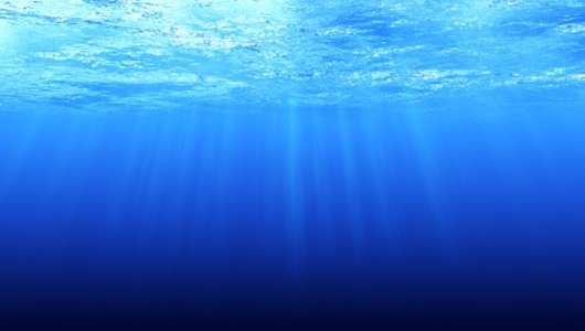 Ecosystem Diagnostic Analysis Of Sargasso Sea - Vimarsana News