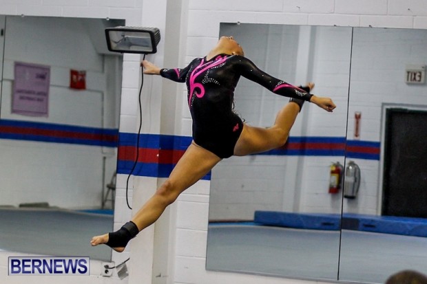 Bermuda Gymnastics, November 16 2013-1