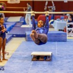 Bermuda Gymnastics, November 16 2013-36