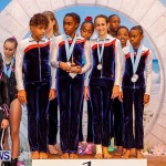 Bermuda Gymnastics, November 16 2013-53