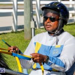 Bermuda Harness Driver Pony Racing, November 11 2013-14