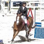 Bermuda Horse and Pony Association Fall Show, November 9 2013 (24)