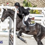 Bermuda Horse and Pony Association Fall Show, November 9 2013 (31)
