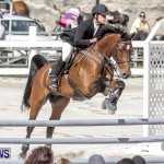 Bermuda Horse and Pony Association Fall Show, November 9 2013 (37)