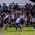Rugby Classic  Bermuda, November 8 2013-40