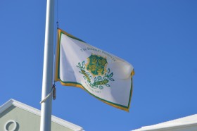 Berkeley flag generic