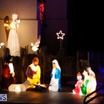 Bermuda Christmas Lights, December 13 2013-66