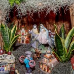Portuguese Presépio Nativity Scene Bermuda, December 17 2013-27