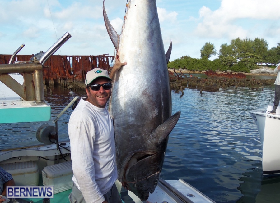bluefin tuna bermuda dec 2013 (2)