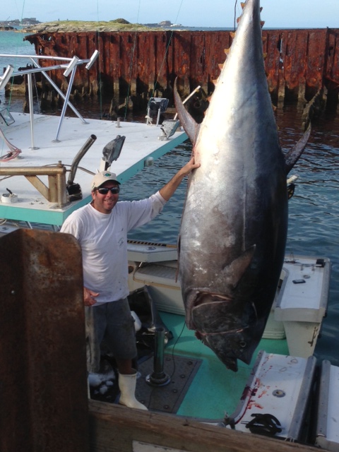 David Soares Catches 1003.5lb Bluefin Tuna - Bernews