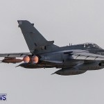 Royal Air Force [RAF] Military Airplanes Bermuda, January 21 2014-48