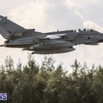 Royal Air Force [RAF] Military Airplanes Bermuda, January 21 2014-49