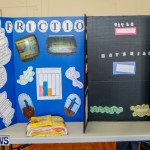 Elliot Primary School Science Fair Bermuda, Feb 26 2014-11