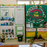 Elliot Primary School Science Fair Bermuda, Feb 26 2014-113