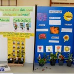 Elliot Primary School Science Fair Bermuda, Feb 26 2014-120