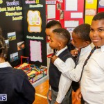 Elliot Primary School Science Fair Bermuda, Feb 26 2014-2