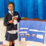 Elliot Primary School Science Fair Bermuda, Feb 26 2014-25