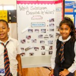 Elliot Primary School Science Fair Bermuda, Feb 26 2014-26
