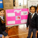 Elliot Primary School Science Fair Bermuda, Feb 26 2014-28