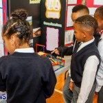 Elliot Primary School Science Fair Bermuda, Feb 26 2014-3
