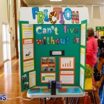 Elliot Primary School Science Fair Bermuda, Feb 26 2014-52