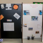 Elliot Primary School Science Fair Bermuda, Feb 26 2014-78
