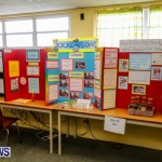 Purvis Primary School Science Fair Bermuda, Feb 26 2014-126